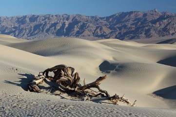 desert-1443127_640