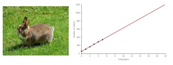 picture-16-42-keep-it-simple-cropped