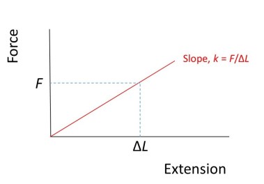 spring-graph-cropped