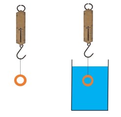 picture-17-7-solid-gold-cropped