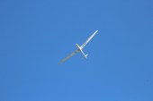 glider-274134_640