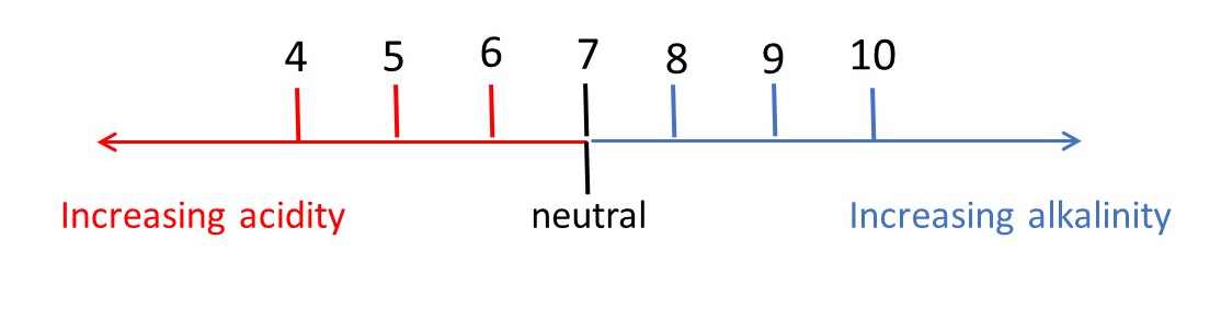 18.1 pH picture cropped