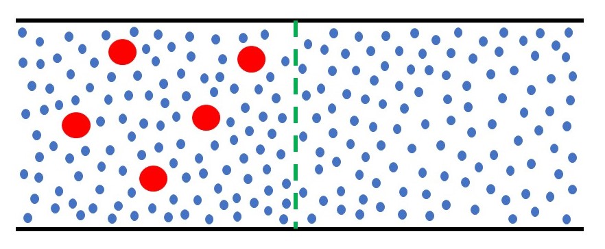 18.27 Diffusion through membranes, osmosis and dialysis – Thinking ...