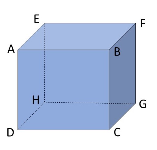 fig1