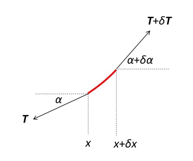 Catenary Plot 22.8 The catenary – Thinking about Science with David Hukins